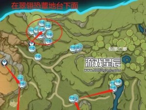 探秘原神攻略（原神攻略之提纳大揭秘！）