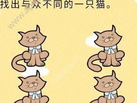 猫の日常攻略（探秘猫咪生活中的15个秘密，看猫如何成为生活的王者）