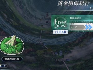 《掌握终局的奥义——fate06版游戏攻略指南》（解密游戏世界，成为终极玩家）