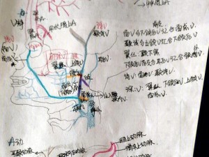 济南口腔技能考试备考攻略（提高通过率，顺利通过济南口腔技能考试！）
