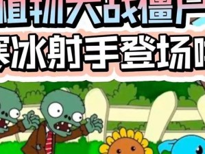 寒冰射手攻略与出装全解析（掌握寒冰射手攻略，打造最强出装！）