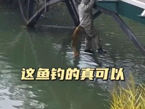 以喷射战士3高塔鱼攻略（如何打败高塔鱼-喷射战士3攻略）