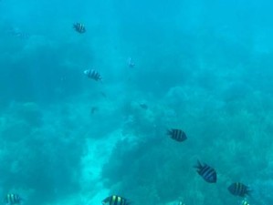 极限玩家出装攻略（玩转极限玩家，攻略出装无往不胜，让你称霸游戏战场！）