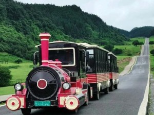 武仙2.23攻略