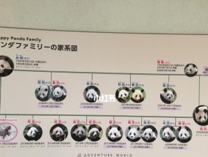 探索未知的冒险世界（攻略、秘籍、技巧带你畅享冒险之旅）