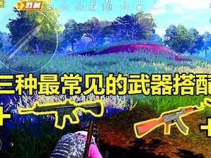 和平精英占点竞技武器全面解析（从武器选择到操作技巧，让你在占点赛场游刃有余）