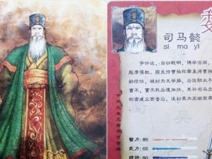 诸葛亮司马懿出装攻略（精准出装，成就无敌之师）